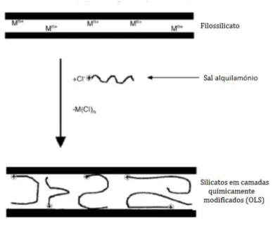 Figura 6- Esquema ilustrativo da modificação química da argila. Adaptado de [35].