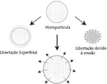 Figura 12- Mecanismos de libertação de fármaco em microesferas de base biodegradável polimérica