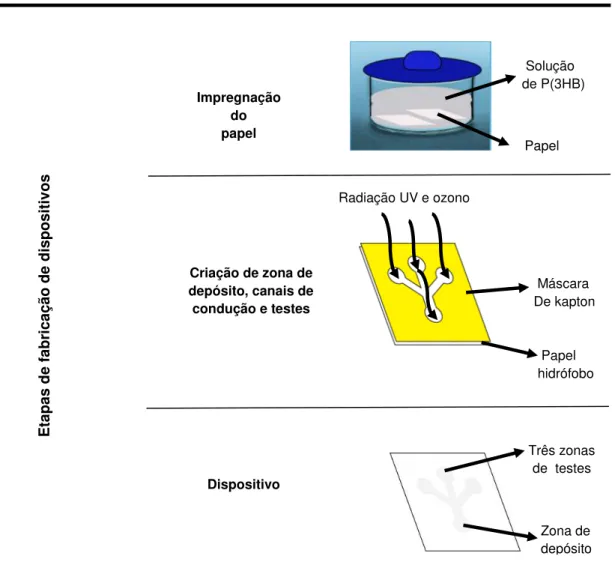 Figura 3.5 - Representação por etapas do processo de fabricação de dipositivos para medir concentrações de glucose  em soluções aquosas 