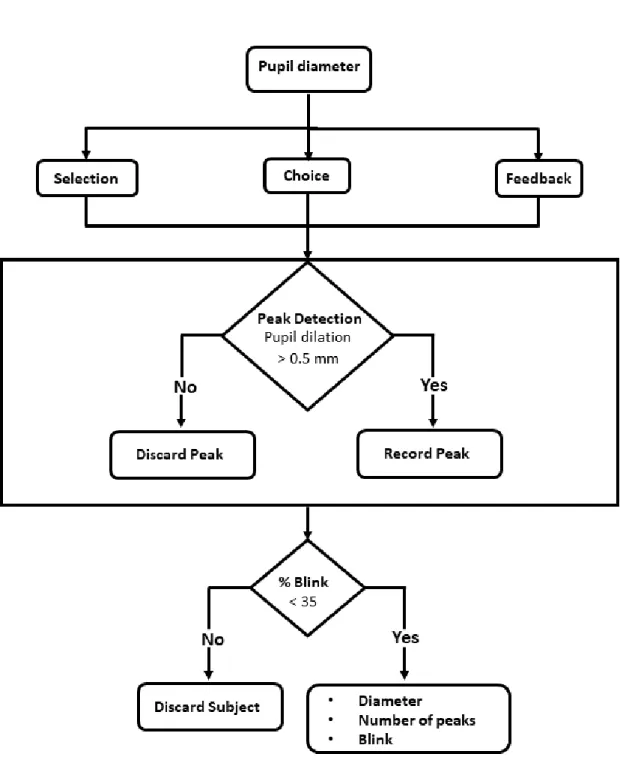Figure 3.5: Processing tools for the pupillometry data and final outputs.