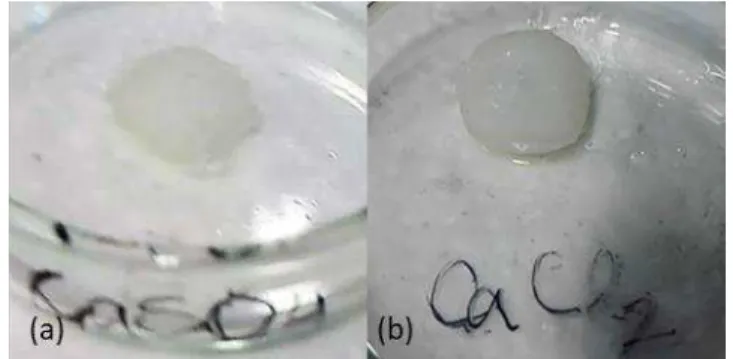 Figure 4. 4 -  3D Printed cubes of sample 14 after being submerged in (a) CaSO 4  or (b) CaCl 2
