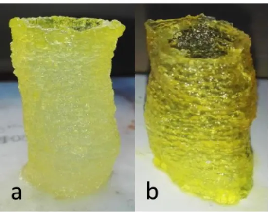 Figure 4. 8 - Tracheal section 3D printed with simultaneous UV reticulation: (a) right after  printing (height = 38.5 mm, width = 19.24 mm, thickness = 0.5 mm) and (b) after 72 hours