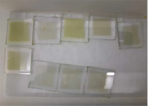 Figure 4.11: Substrates with compact TiO 2 and Perovskite layer using 0.217 M MACl solution in DMF