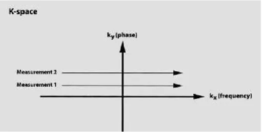 Figure 2.8: k-space. k x is the frequency axis, k y the phase axis. Data from each measurement fills a different horizontal line