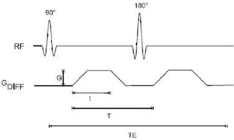 Figure 2.15: Spin echo pulse sequence showing diffusion gradients, known as the Stejskal–Tanner ap- ap-proach