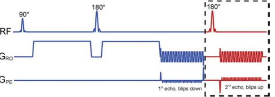 Figure 3.4: Proposed pulse-sequence diagram for dual-echo blip-reversed diffusion-weighted EPI [36]