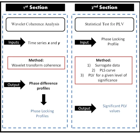 Figure 3.1: Analysis scheme for the two main sections of the methodology. The first section is based on Wavelet Coherence computation for time series x and y extracted from the ROIs of interest