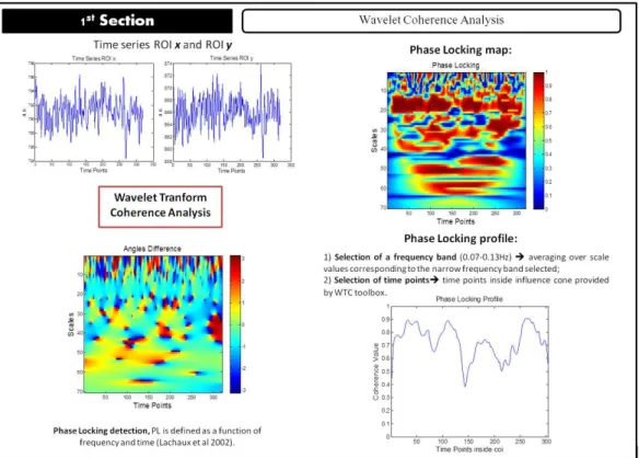 Figure 3.2: Analysis scheme for the first section. From WTC the Angle/Phase differences maps over all time points and scales (time-frequency analysis) are obtained, followed by computation of the phase-locking map