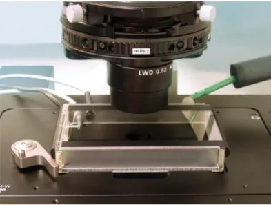 Figura 2-4: Heating system da Ibidi onde é visível a câmara de incubação fixa na mesa do microscópio