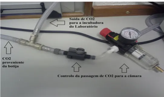 Figura 3-4: Sistema de admissão do gás CO 2  a partir de uma botija já existente no laboratório