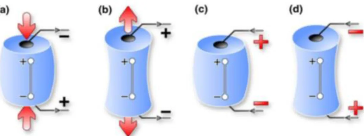 Figura  2.2 No efeito direto, uma força de compressão (a) ou de tração (b) ao fazer variar o momento  dipolar, origina uma diferença de potencial no material