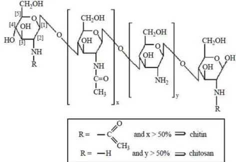 Figura 2.3 Estrutura química da quitina e do quitosano conforme a percentagem de unidades de repeti- repeti-ção[24]