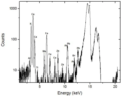 Figure 3.11: Orchard leaves - Setup: Ag collimator after secondary target, Ag collimator before the detector, and extra Pb shielding
