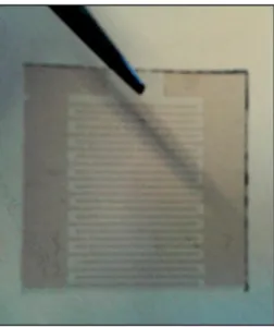 Fig. 3.2  –  Exemplar de um Sensor Interdigitado utilizado neste estudo  