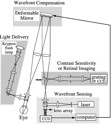 Figure 3.1 Diagram of the optical system used. [29] 