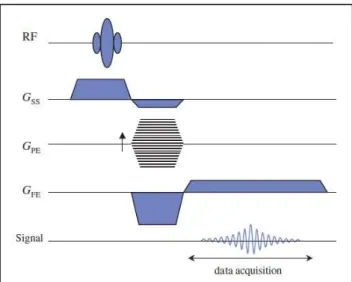 Figure 3.6 - Basic gradient echo sequence subdivided into from top-to-bottom: radiofrequency pulses (RF); 