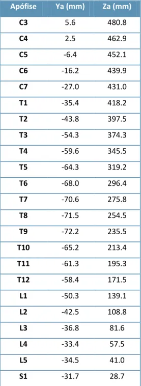 Tabela  4.3  -  Coordenadas  das  apófises  (de  C3  a  S1)  determinadas  a  partir  do  modelo  gráfico  da  coluna vertebral – indivíduo sem patologia associada