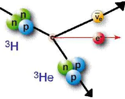 Figura 2.5: Decaimento beta do Tr´ıtio. Esta imagem foi retirada de [13] e posteriormente foi ligeiramente alterada.