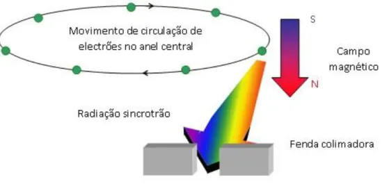 Ilustração 10. Diagrama esquemático de radiação Sincrotrão.