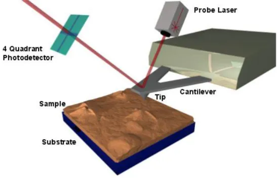 Figure  3.  Schematic  diagram  of  a  common  implementation  of  an  AFM.  The  essential  elements  of  an  AFM  are:  a  probe  (tip)  attached  to  a  spring  (cantilever);  a  means  of  measuring  deflections  of  the  spring  (probe  laser  and  ph