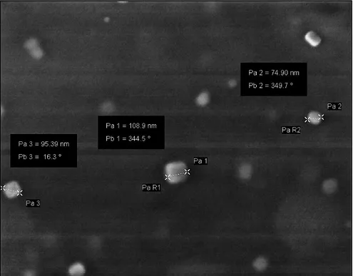 Figure 4.4. SEM image of a DPPG cast film showing vesicles with diameters between 75 and 109 nm