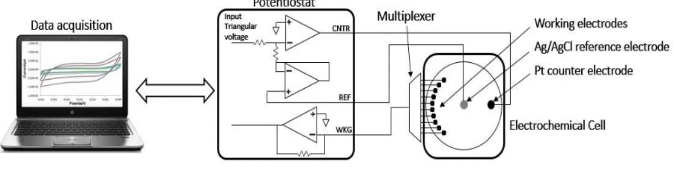 Figure 3.23. Portable HE-tongue setup for the evaluation of olive oils [235]. 