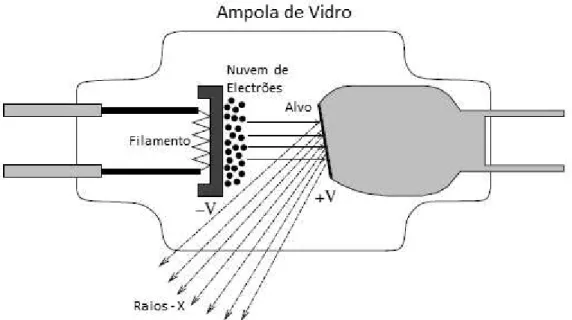 Figura 3.1: Esquema típico de uma ampola típica de raios - X. Adaptado de [Ahmed 2007]