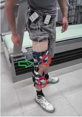 Figure 3.2: Complete experimental setup: two Bioplux research devices, two ACC (red circles), six EMG and one GON sensors (green arrow) placed on a regular Ortema right knee orthosis