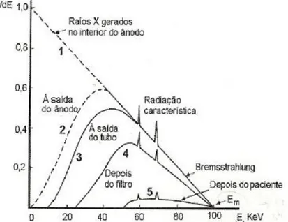 Figura  3.4  –  Distribuição  da  energia  emitida  por  uma  ampola  de  raios  X  convencional