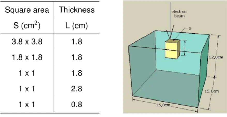 Table 5.1: Variations of the thickness L and square area S of the air cavities considered in the study (left side).