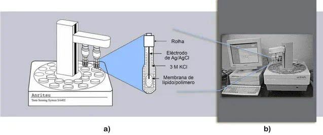 Figura  2.1  –  a)  Esquema  ilustrativo  do  sistema  de  detecção  de  sabores  criado  por  Kyoshi  Toko  (7);  b)  fotografia do analisador Taste Sensing SA402 