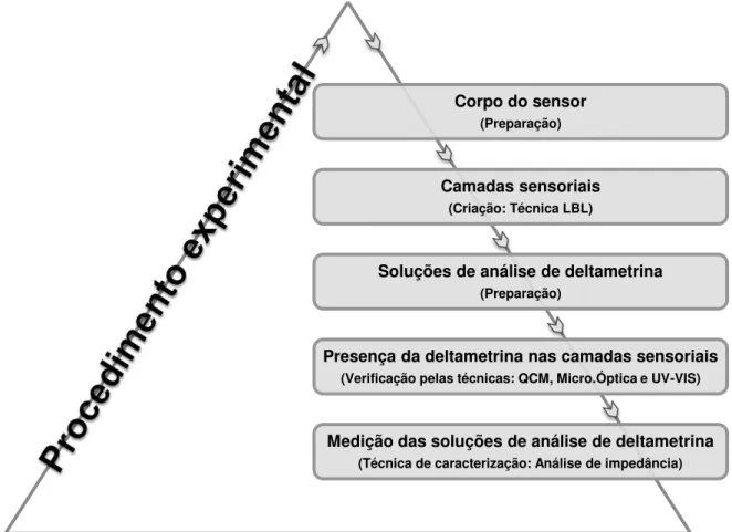 Figura 3.1 – Representação esquemática do procedimento experimental Corpo do sensor  