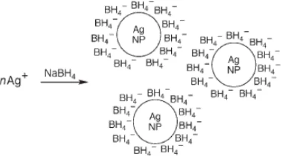 Figura 1.3: Representação esquemática da ação do BH 4 -