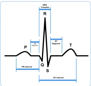 Figure 2.2: A typical ECG, with highlighted features.