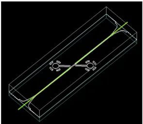 Figura 3.8 – Imagem a três dimensões do chip de microfluídica projectado. 