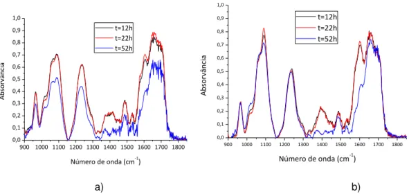Figura 4.4 - Espectros de absorvância de um filme de a) DNA e de b) DNA e MB produzidos por  derramamento e irradiados com luz UV por mais 10 e 30 horas na presença de água
