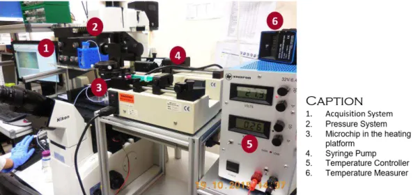 Figure  2.11  |  Display  of  the  complete  microfluidic  assembly  used  in  the  course  of  migration  experiments