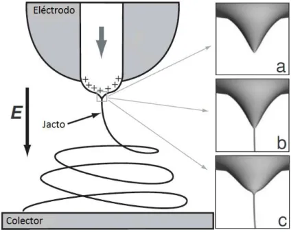 Figura 1.9 - Representação esquemática da formação de um jacto durante o processo de electrofiação