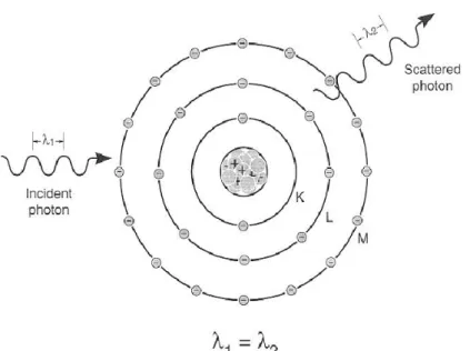 Figure 8 – Scheme of the Rayleigh scattering, evidence of the unaltered wavelength [35]