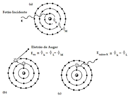 Figura 4.2: Ilustra¸c˜ ao da emiss˜ao de raio-X e do eletr˜ao Auger. (a) Representa¸c˜ ao dos v´ arios n´ıveis de energia do ´atomo (Φ k , Φ L , Φ M ) e do fot˜ao incidente de energia E; (b) a transi¸c˜ ao de um eletr˜ao do n´ıvel L para a lacuna da camada
