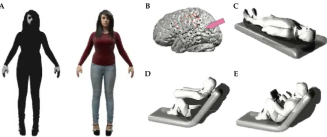 Figure 2.1 Feeling of a Presence 