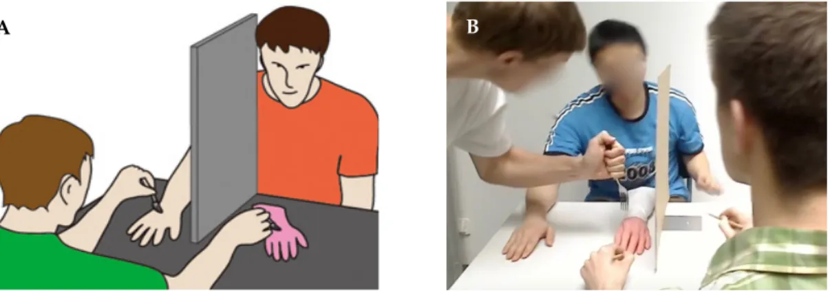 Figure 2.2 Depictions of the Rubber Hand Illusion 