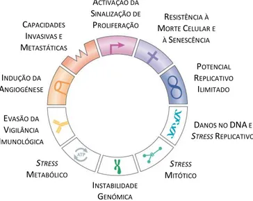 Figura 1.5  –  Representação esquemática das características primárias das células cancerígenas, de acordo com  Negrini  e  colaboradores  (2010)