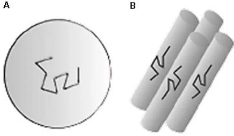 Figura 3.1 – Diagrama do movimento de uma molécula em situação de isotropia (A) e anisotropia (B)