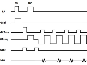 Figura  3.3  –  Esquematização  de  uma  sequência  SS-DW-EPI.  Legenda:  RF:  pulso  de  radiofrequência;  GSel: 