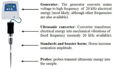 Figure 15: Comprehensive scheme of an ultrasonic probe (adapted from [16] with kind permission of J.L