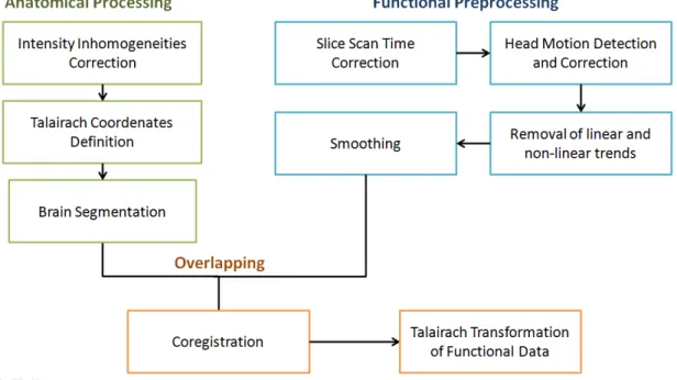 Figure 2.2: Data processing steps arranged in a scheme 