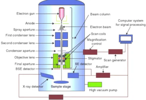 Figure 4.1: Schematic of an SEM system [24].
