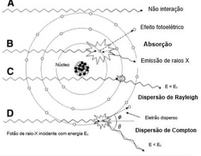 Figura 6.3-Ilustração dos fenómenos de interação dos raios X com a matéria: (A) radiação primária não atenuada; 