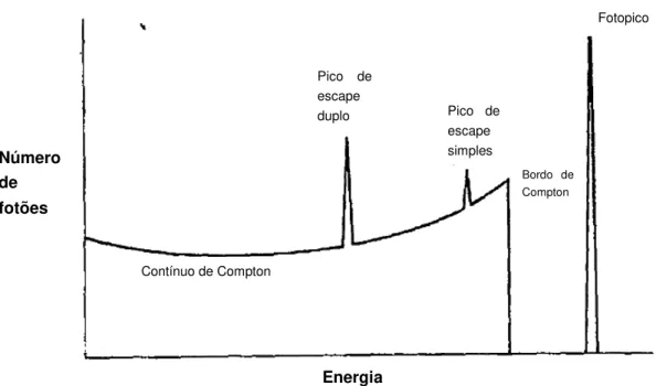 Figura 6.6-Representação dos fenómenos de interação da radiação gama com a matéria: efeito Compton (contínuo e  bordo de Compton), efeito fotoelétrico (fotopico) e produção de pares (pico de escape simples e duplo)